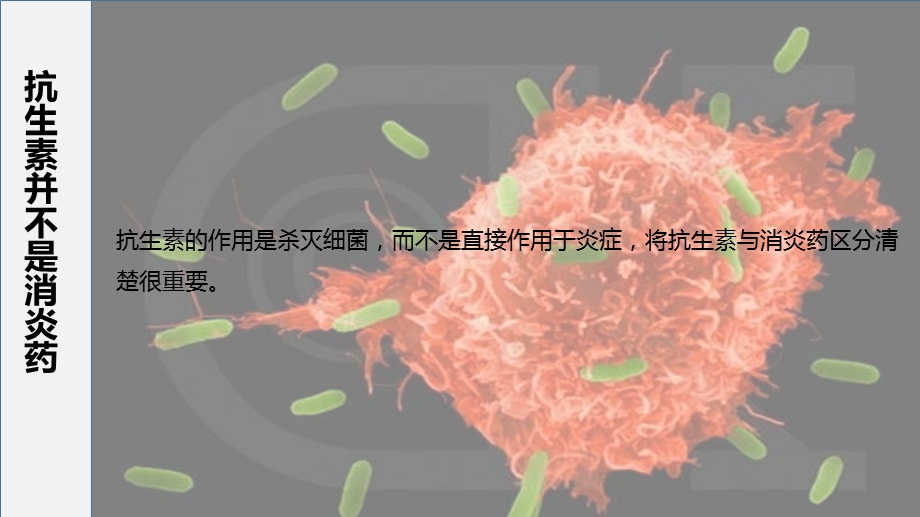 急性咽炎与抗生素社区志愿者健康知识宣讲材料精选文档.pptx_第2页