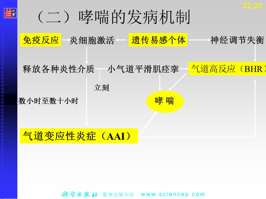 最新：呼吸系统第10节 支气管哮喘文档资料.ppt_第3页