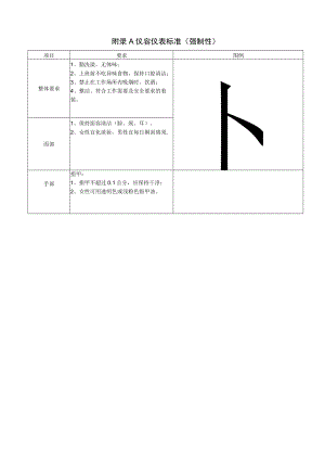 附录A 仪容仪表标准（强制性）.docx