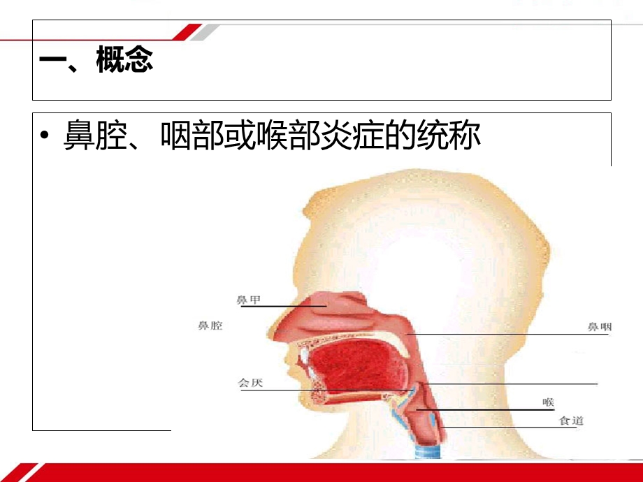 急性上呼吸道感染感冒PPT文档.ppt_第2页