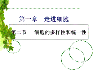 必修一 11 细胞的多样性和统一性 第一课时精选文档.ppt