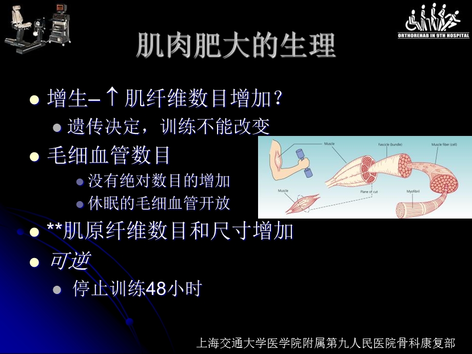 肌肉力量训练文档资料.ppt_第3页