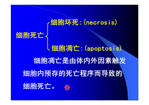 最新09细胞凋亡与疾病PPT文档.ppt