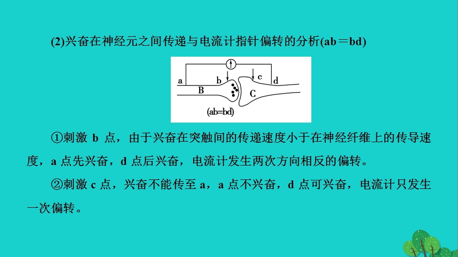 高中生物第2章生物个体的稳态第2节人体生命活动的调节第1课时兴奋的传导与电流表指针偏转问题分析微专题突破课件苏教版必修.pptx_第3页
