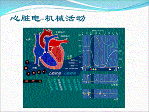 最新：如何阅读儿童心电图ppt课件文档资料.ppt