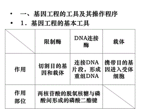 最新人教版教学课件第一章基因工程和第二章细胞工程复习PPT文档.ppt