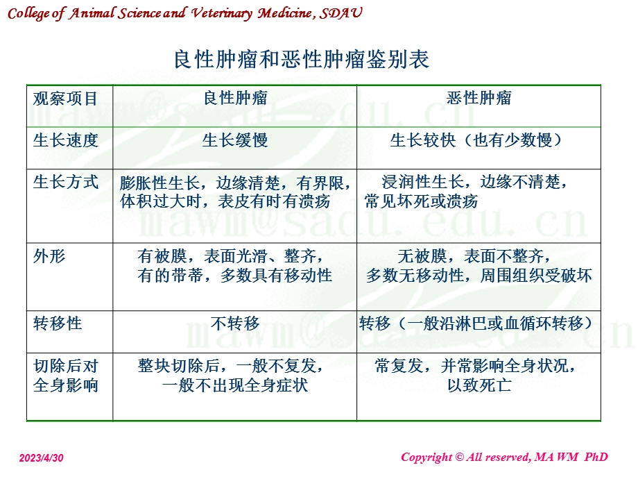 最新第三讲肿瘤tumourPPT文档.ppt_第3页