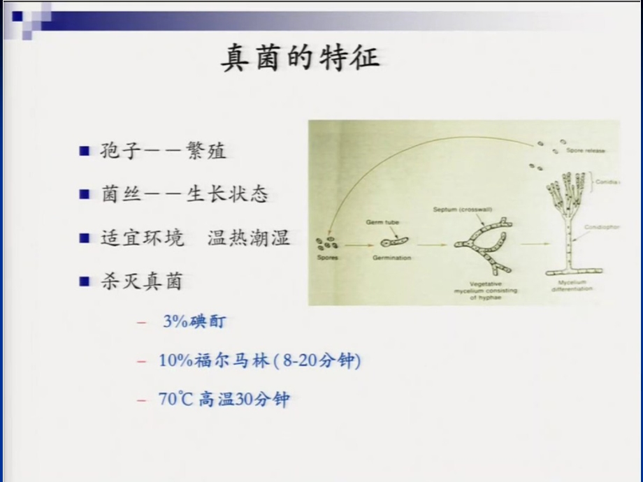 最新臧洪瑞鼻窦侵袭性真菌病的诊断和治疗PPTPPT文档.ppt_第2页