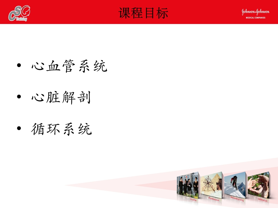 最新心脏解剖g1预习ppt课件PPT文档.ppt_第1页