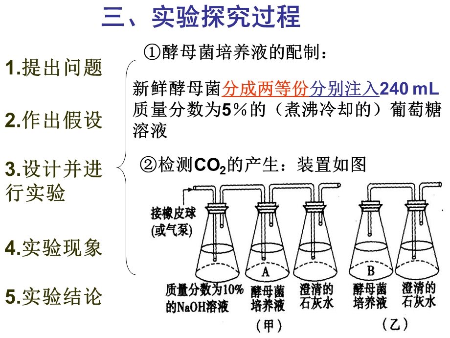 探究酵母菌细胞呼吸方式PPT课件.ppt_第3页