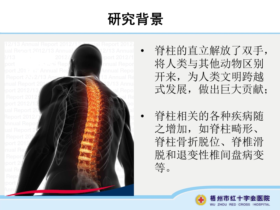 数字化虚拟技术在脊柱椎弓根内固定系统的应用研究文档资料.ppt_第2页