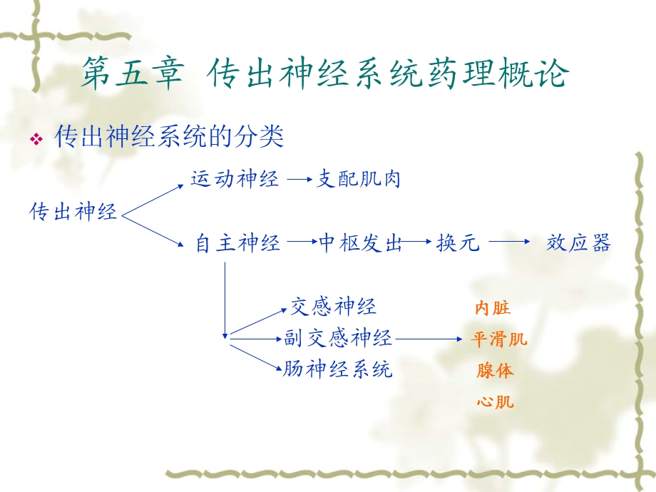 外周神经系统药理课件精选文档.ppt_第1页