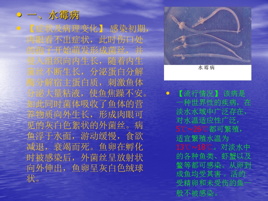 第五章第三节真菌病和寄生藻类病名师编辑PPT课件.ppt_第3页