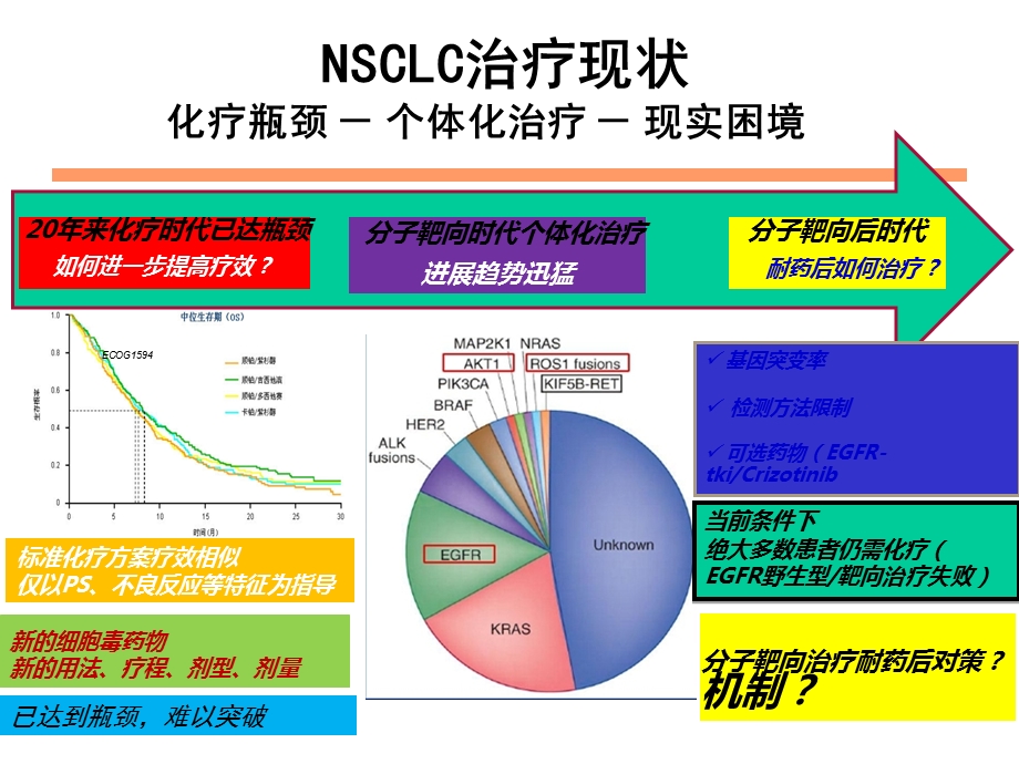 最新河南省肿瘤医院刘杰nsclc靶向治疗现状与展望ppt课件PPT文档.ppt_第2页