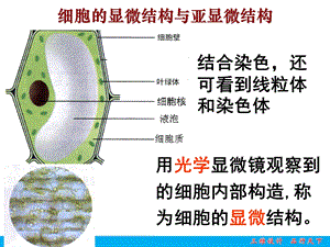 最新：必修1专题2细胞结构文档资料.ppt