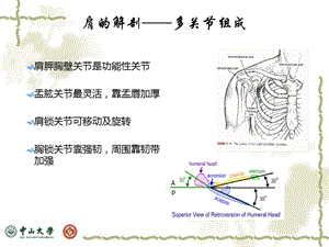 最新肩关节疾患的物理治疗PPTPPT文档.pptx