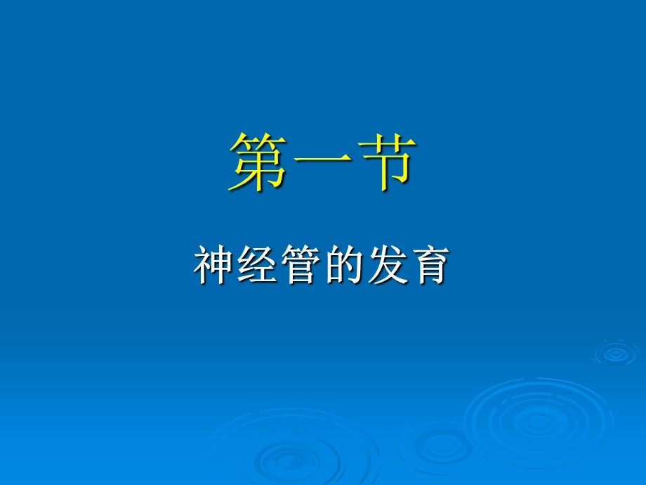 sjc神经系统发育PPT课件.ppt_第2页