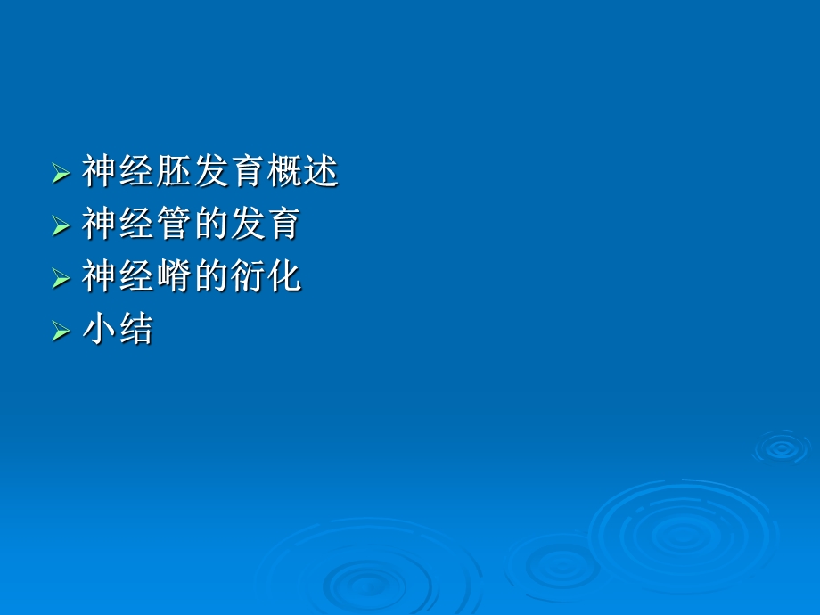 sjc神经系统发育PPT课件.ppt_第3页