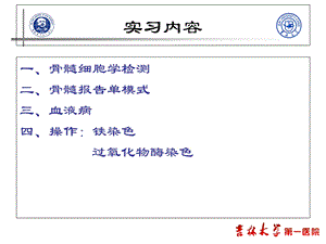 实验诊断一院检验实习三 常见血液病的骨髓细胞形态学精选文档.ppt