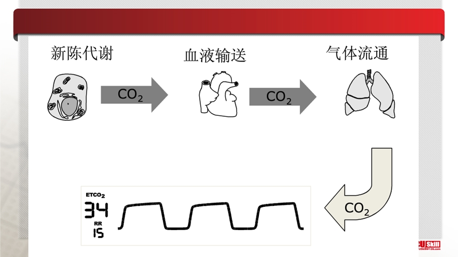 最新：医学ppt呼气末二氧化碳在急诊的临床应用文档资料.pptx_第3页