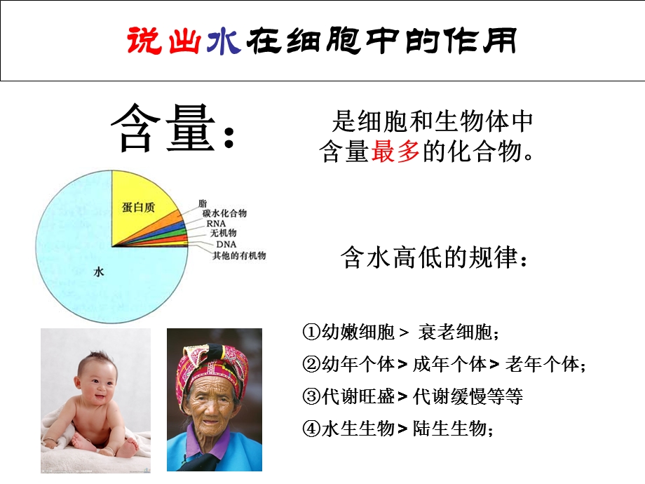 一细胞的分子组成会考复习精选文档.ppt_第1页