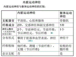 内脏神经new11PPT文档.ppt