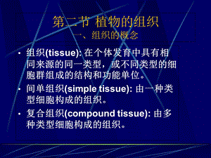 植物的细胞和组织第四部分精选文档.ppt