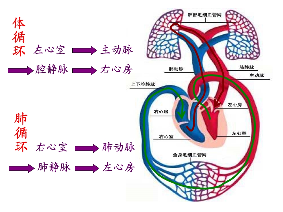 威胁康的主要疾病PPT文档资料.ppt_第3页