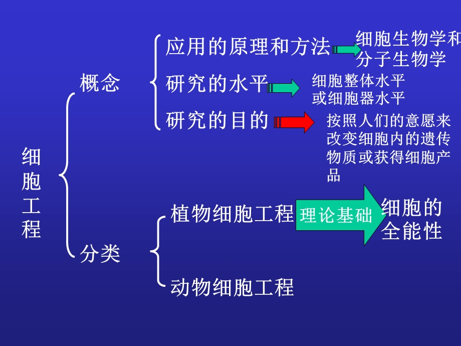 最新21植物细胞工程PPT文档.ppt_第2页