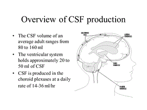 最新：脑积水Hydrocephalus文档资料.ppt