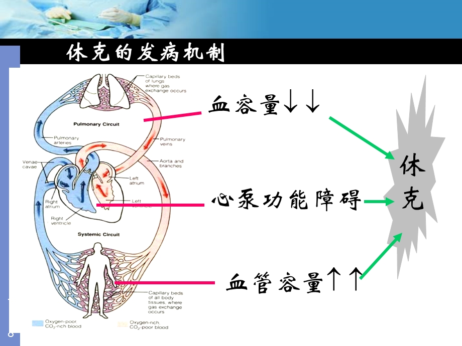 休克诊治简述精选文档.ppt_第3页