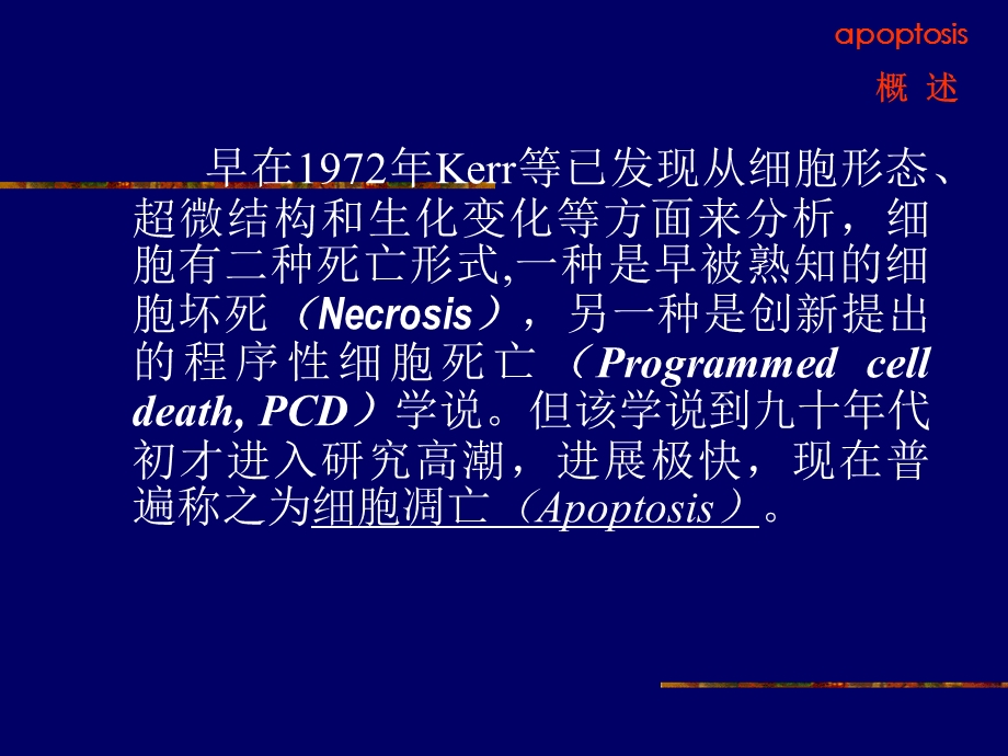 最新：本科细胞凋亡文档资料.ppt_第3页