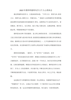 公立学校2023年教师道德师风学习个人心得体会 精品汇编6份.docx