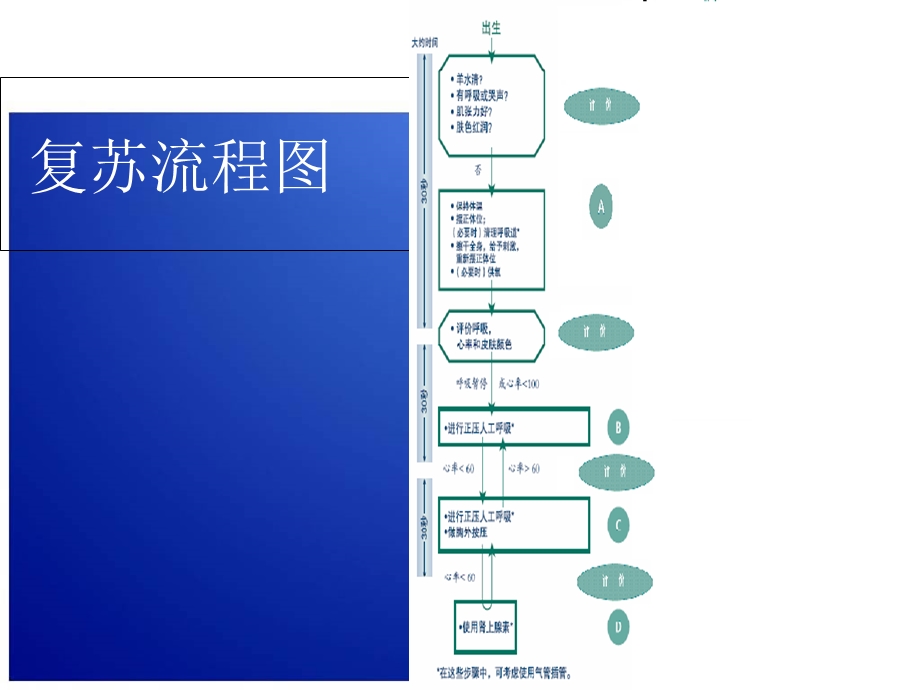 最新新生儿复苏.舒文PPT文档.ppt_第3页