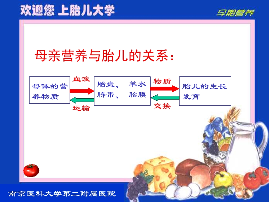 孕期营养保健生命和健康基础精选文档.ppt_第1页