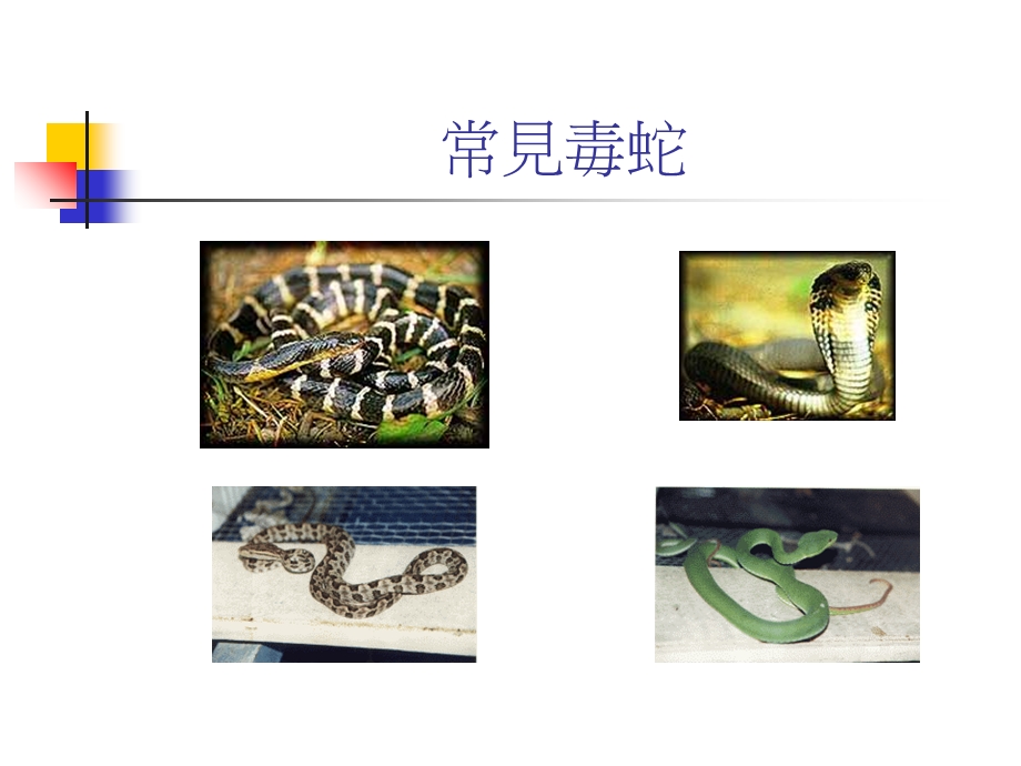 最新：简易急救常识文档资料.ppt_第2页