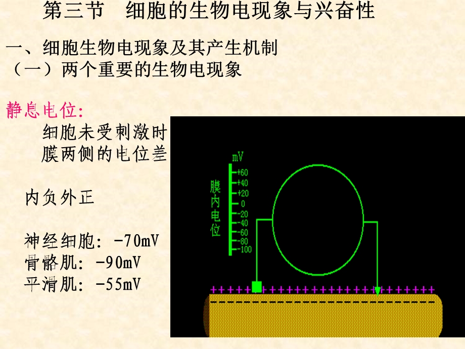 第3章细胞的基本功能文档资料.ppt_第2页