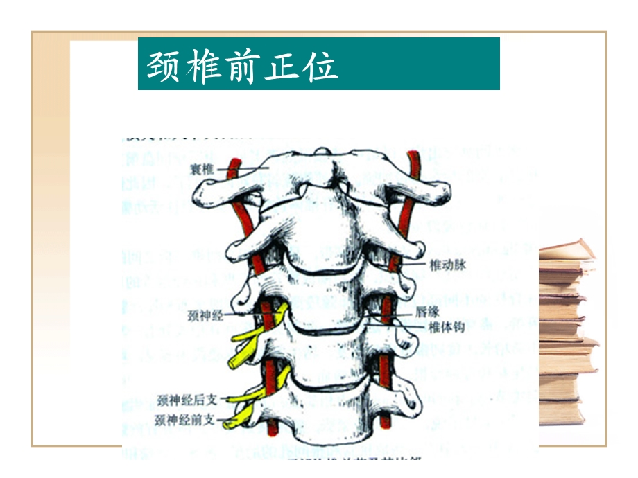 常见病保健推拿课件精选文档.ppt_第3页