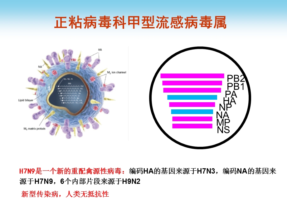 人感染h7n9禽流感诊疗方案及接诊流程文档资料.pptx_第2页