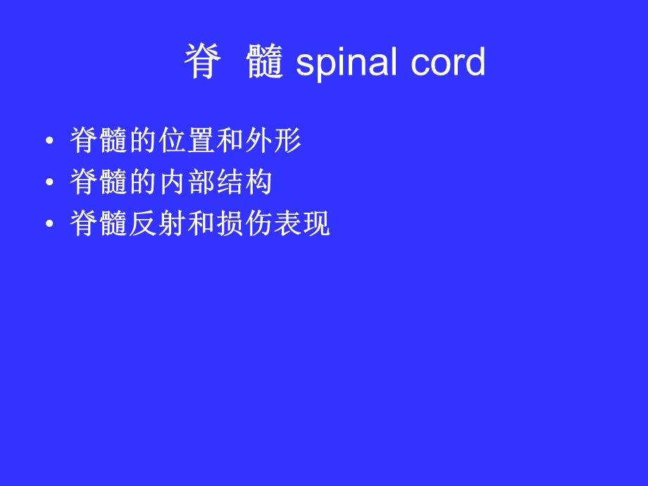 中枢神经系统解剖学PPT文档.ppt_第2页