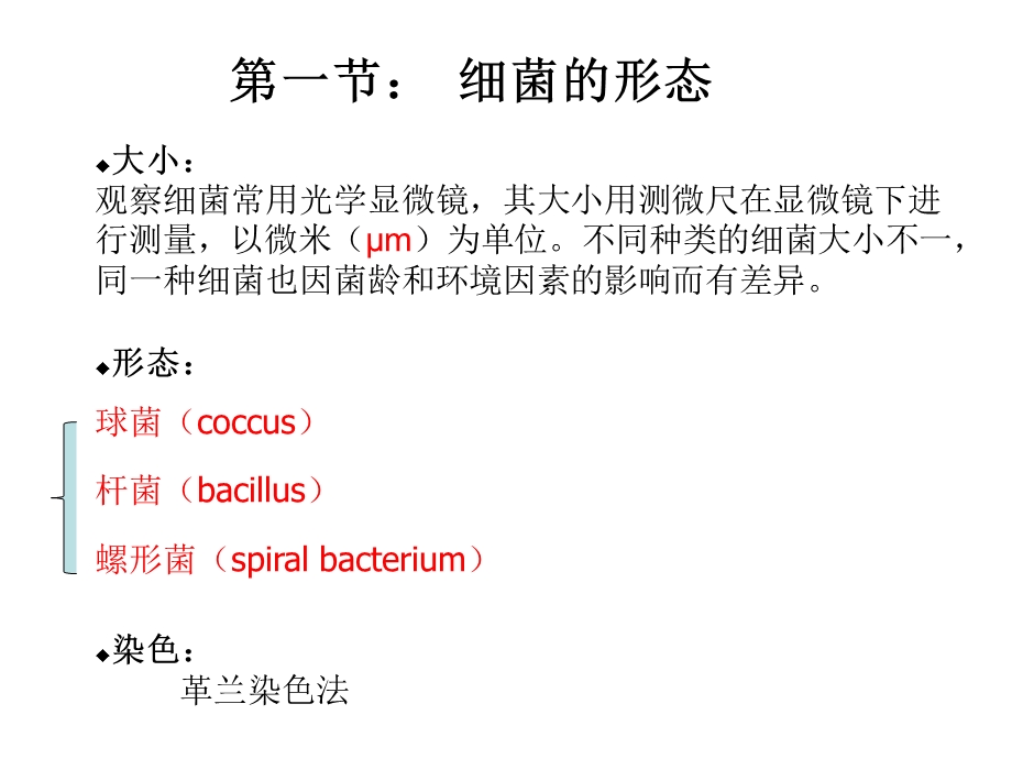 2细菌形态结构PPT文档资料.ppt_第2页