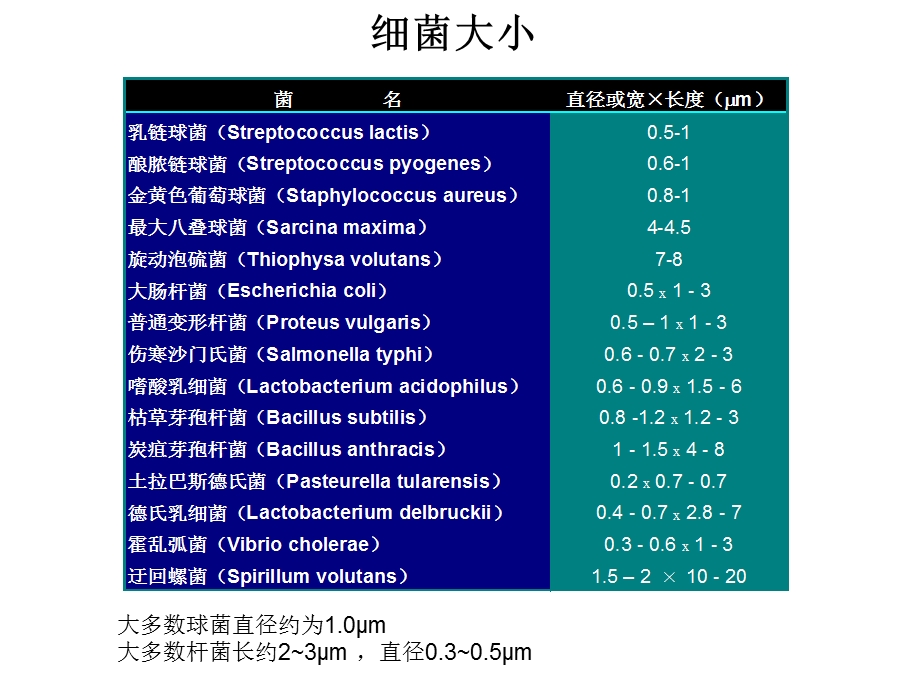 2细菌形态结构PPT文档资料.ppt_第3页