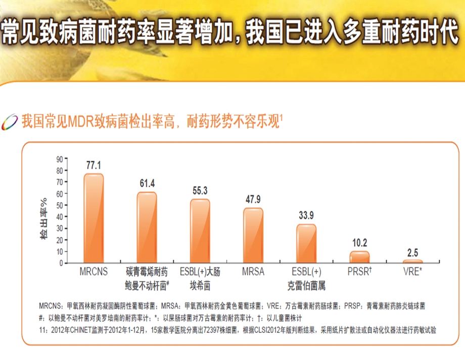 多重耐药环境下的抗感染治疗探讨文档资料.pptx_第2页