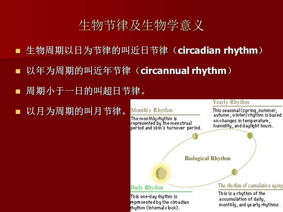 时间药理学和临床合理用药课件精选文档.ppt_第2页