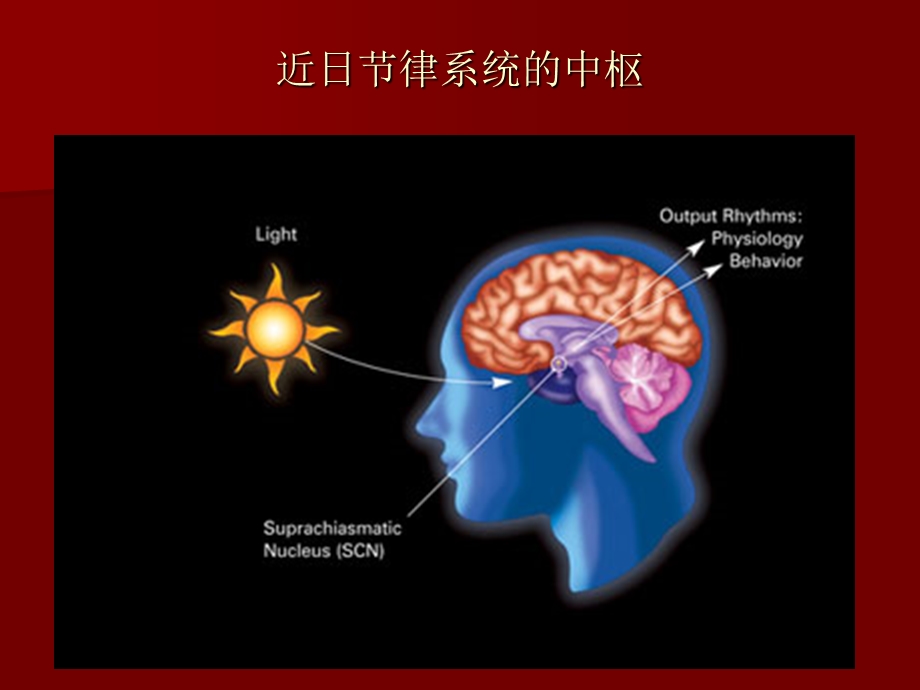 时间药理学和临床合理用药课件精选文档.ppt_第3页