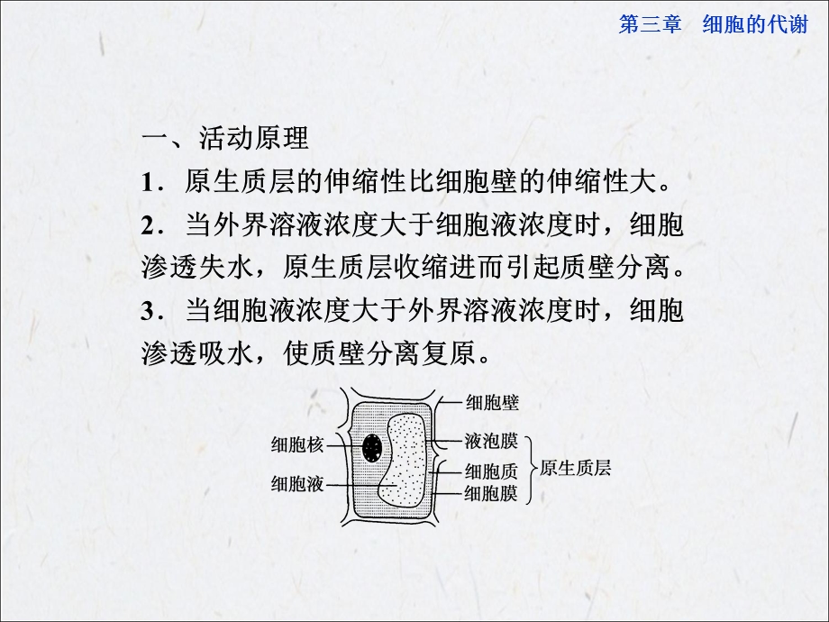 中图生物必修1活动课全册精品课件：观察洋葱表皮细胞的质壁分离及质壁分离复原精选文档.ppt_第1页