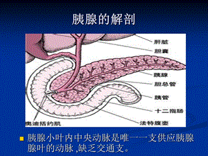 最新高脂血症性胰腺炎PPT文档.ppt