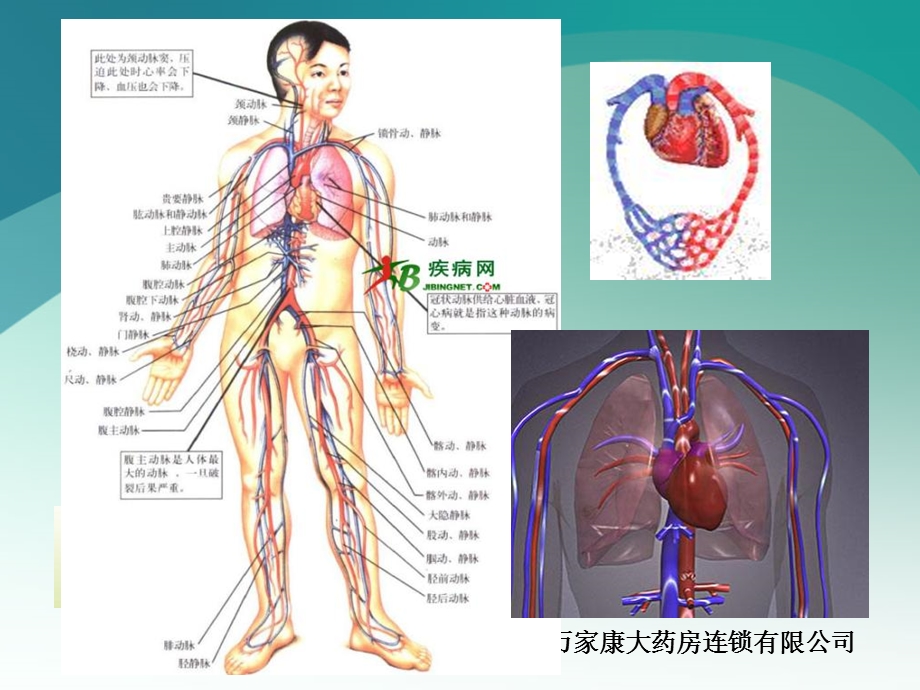 常见疾病及处理PPT课件.ppt_第2页