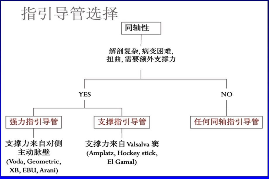 王光亮冠脉介入培训讲课第16章导引导管和导引导丝的选择及操作上文档资料.ppt_第2页