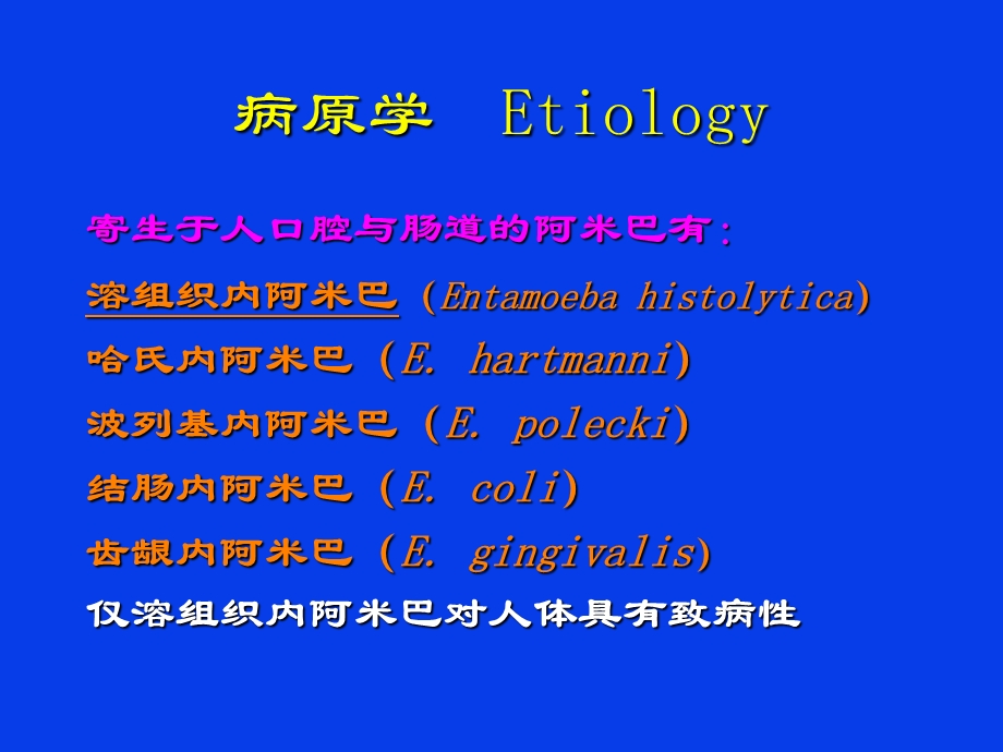 最新阿米巴肝脓肿PPT文档.ppt_第3页